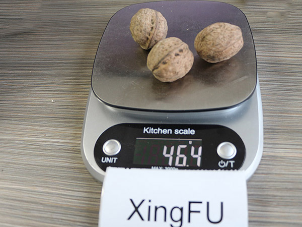 XingFu Walnut Inshell